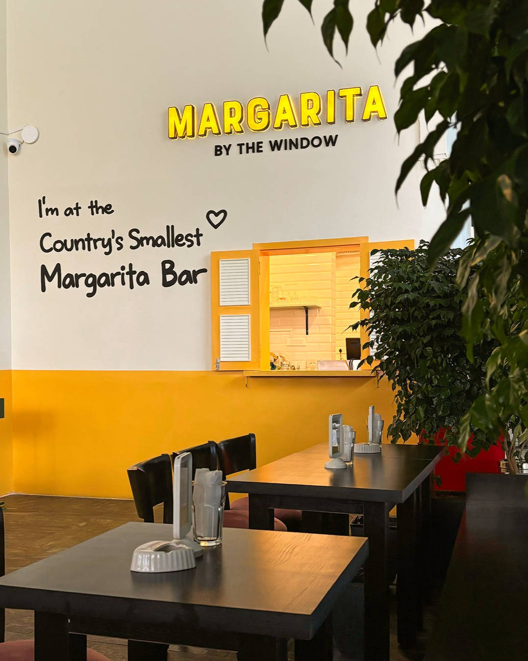 Margerita By The Window